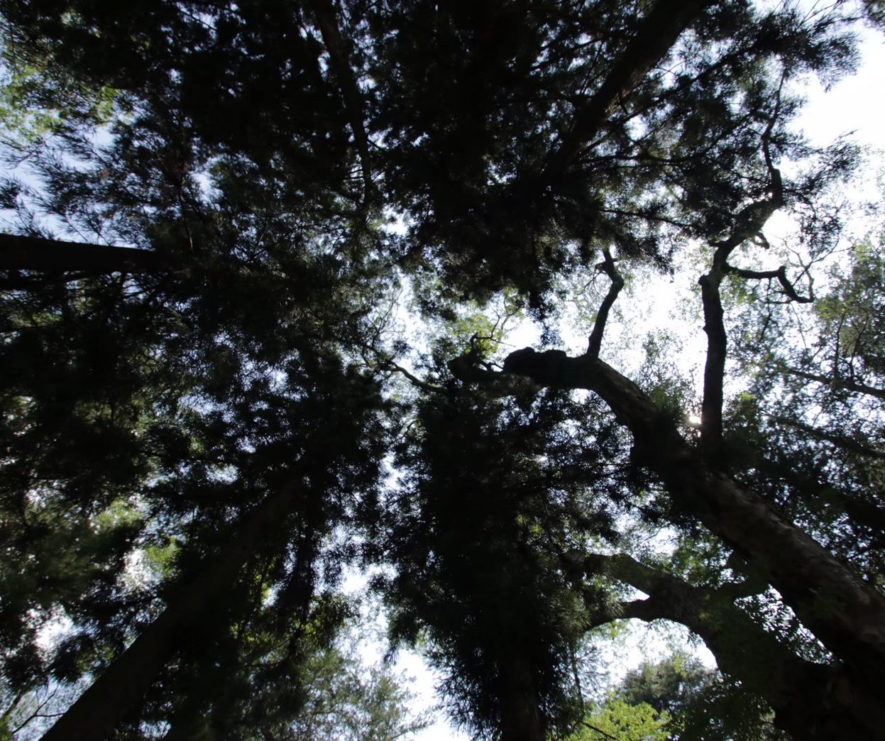 工学院大学　筧淳夫研究室